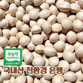 국산 피은행 은행 열매 중 사이즈 2kg