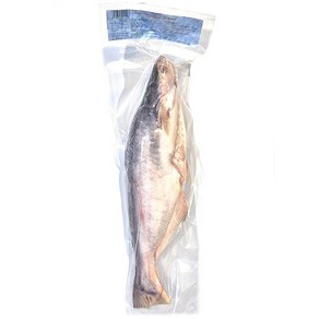 베트남 냉동 통동자개 메기 800g~1kg, 800~1kg, 1개