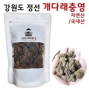 강원도 정선 자연산 개다래열매 국내산 충영 충령 개다래충영 목천료 250g 500g, 1개