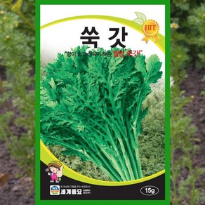 쑥갓씨앗 15g 쑥갓 씨앗 종자 쑥갓씨 채소 야채, 1개