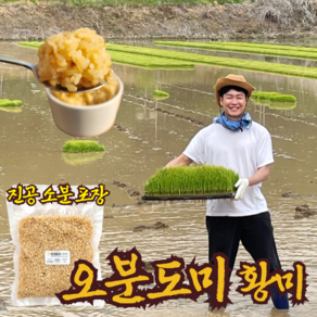 오분도미 저속노화 여리향 당일도정 삼시세끼 5분도미 오분도 맛있는 쌀 진공 소분 포장, 10kg, 1개