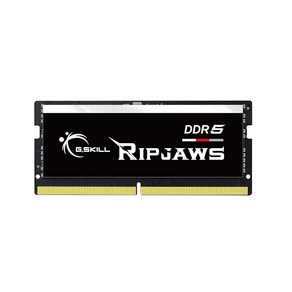 G.SKILL Ripjaws DDR5 SODIMM 시리즈 RAM 48GB (1x48GB) 5600MT/s CL46454589 1.10V 언버퍼드 NonECC 노트북/노트북 메모리, G.SKILL Ripjaws DDR5 SODIMM 시리, 1개