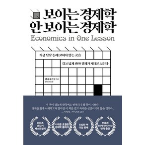 보이는 경제학 안보이는 경제학:지금 당장 눈에 보이지 않는 곳을 길고 넓게 봐야 경제가 제대로 보인다, 디케이제이에스(DKJS), 헨리 해즐릿