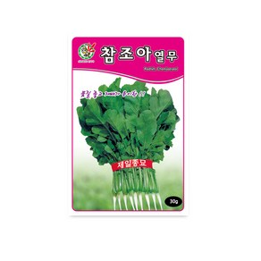 모칸도 제일종묘 참조아열무 30g