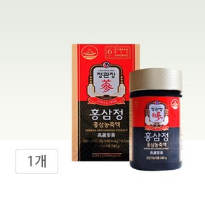 정관장 홍삼정 쇼핑백포함 TD, 1개, 240g, 1개