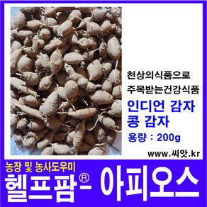 헬프팜 아피오스 200g 인디언감자 콩감자 감자