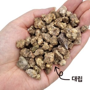 세척 마사토 2kg 세척마사 상토 배양토 난석 분갈이 흙 가든그린