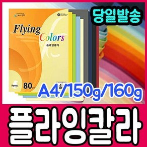 [문구티쳐] 플라잉칼라 A4 150g 160g / A4칼라용지 A4 OA용지 칼라색지