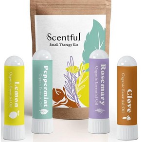 SCENTFUL 후각 상실 후각 재훈련 치료 후각 및 맛 회복용 냄새 훈련 키트 유기농 에센셜 오일로 미국에서 제작