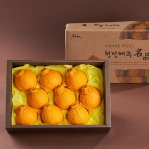 제주 산지직송 15bix 황금향 한라봉, 1개, 5kg(선물용)