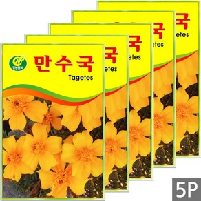 세인화분 만수국 50립, 5개