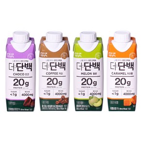 빙그레 더단백 드링크 4종 초코9 커피9 멜론9 카라멜9 250ml, 36개, 250mg