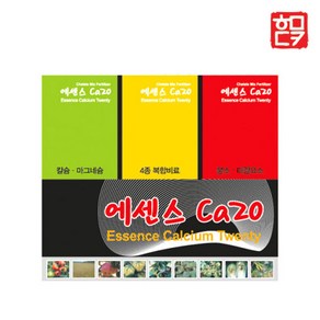 에센스 센스 Ca20 (750g) 4종복합 + 호미닷컴 전용 약수저 세트, 750g, 1개