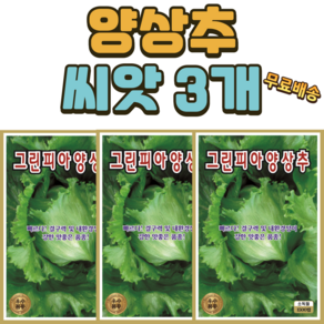 씨앗팜 양상추 씨앗 3개(1500립x3), 3개