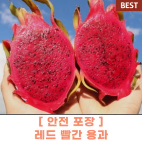 [ 안전포장 ] 빨간용과 레드용과 적용과 생용과 1.6kg/2.5kg/5kg 이색과일 특별 과일 선물 수입과일 열대과일 동남아 베트남, 1개