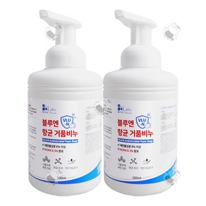 블루엔 항균 거품비누 식물유래 세정 성분 항균효과 피부보습효과, 2개, 500ml