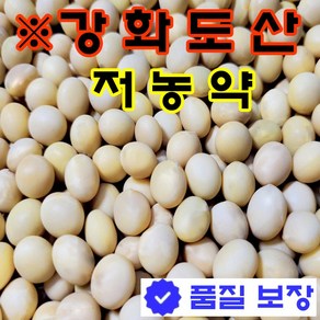 24년산 무농약 백태콩5kg 강화도 콩