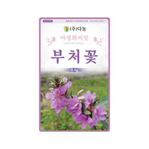 (DN) 부처꽃 씨앗(0.8g), 1개