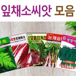 살아있는 씨앗 모음 채소씨앗 상추 쑥갓 궁채 유럽 치커리 루꼴라 치커리 청경채 시금치 파 양파 부추 도라지 곰취 더덕 곤드레 나물 내이 종자