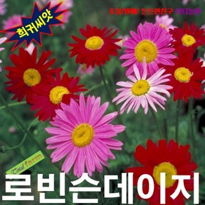 (희귀씨앗)로빈슨데이지 레드 10립, 1개