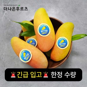 항공 직수입 특품 고당도 태국 마하차녹 망고, 1개, 5kg(10~14과)