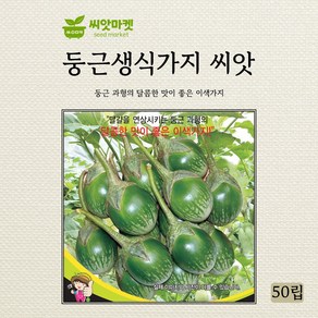 세계종묘 둥근생식 가지 씨앗 50립, 1개