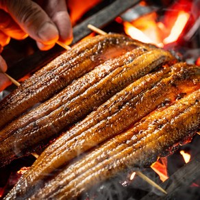 [통영직송] 통발어획 바다 장어 오동통한 자연산 손질 제철 구이 소스증정, 1개