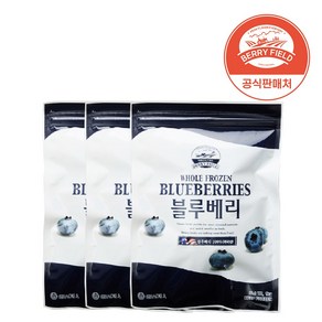 냉동 블루베리 미국산 1kg x 3개 베리필드, 단품, 1개