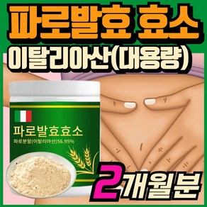 파로 효소 분말 이탈리아 파로 곡물 효소 고대곡물 엠머밀 가루 탄수화물 글루텐 분해효소 역가수치 높은 효소