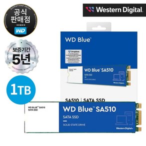 [공식판매점] WD BLUE SA510 M.2 SATA SSD, WDS100T3B0B, 1TB