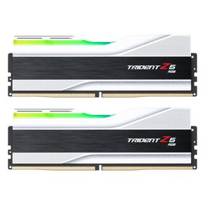 G.SKILL DDR5-6000 CL30 TRIDENT Z5 RGB J 실버 패키지 (32GB(16Gx2)), 2개