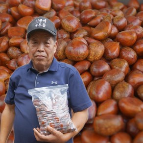 -맛있는 진짜 햇 공주밤 공주 옥광밤 알밤 생 깐밤 1kg 2kg