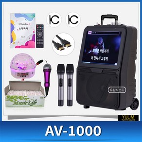 서영엔터테인먼트 AV-1000 AV1000 캠핑 휴대용 차박 이동식 노래방