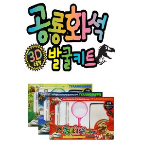 3D 조립형 공룡화석 발굴키트셋트/ 고대발굴 / 화석블럭+망치+브러쉬+정+돋보기, 3종셋트