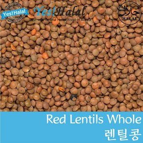 Yes!Global Red Lentil Whole Massar Whole Masoor Dal Whole 렌즈콩 레드 렌틸콩 렌틸빈 마수르달 (900g Canada)