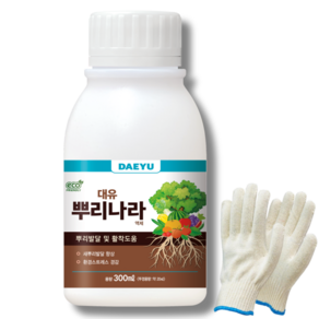 대유 뿌리나라 뿌리 발근제 활착제 촉진제 삽목 나무 영양제 300ml+작업장갑, 300ml