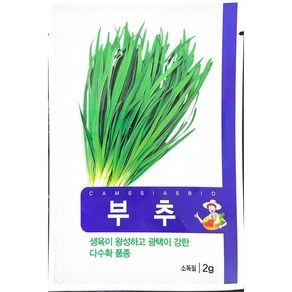 부추 씨앗, 1개