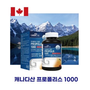 캐나다프로폴리스 6개월분 효능 효과 프로폴리스 분말 가루, 6개