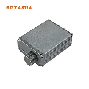 100W TPA3116D2 파워 모노 앰프 보드 서브우퍼 디지털 미니 스마트 홈, 02=TPA3116D2Amplifie