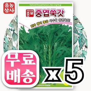 중엽쑥갓씨앗 15g 갓씨앗 쌈채소 잎채소 샐러드채소, 5개