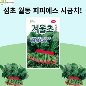 겨울초 시금치 500g 시금치 월동 대량 씨앗 종자 배추 김장 텃밭 모종