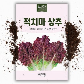 씨앗팜 적치마 상추씨앗 (4g) 적상추 씨, 1개