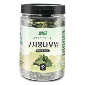 드랍쉽 구지뽕나무잎(국산) 40g(통) 구찌뽕 꾸지뽕 구지뽕잎 차, 1개, 40g