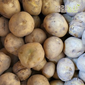 (대림농산) 24년 감자 못난이감자 2kg 3kg 5kg 10kg 20kg, 1개, 저장감자(중)