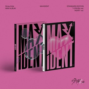 (CD) 스트레이 키즈 (Stay Kids) - Maxident (Mini Album) (T-Cush/Heat Ve.) (랜덤 발송)