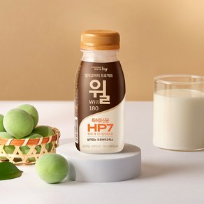 에치와이 헬리코박터 프로젝트 윌 오리지널 에코, 180ml, 10개