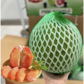 베트남 자몽 VIET NAM 자몽 핑크 포멜로 베트남 포멜로 PINK POMELO (1과 1.2kg~1.5kg), 1개, 1.4kg