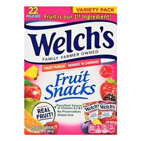 [미국직배송]웰치스Welch's 프루트 스낵 젤리 561g (22개입x22.5g), 프루트 펀지+베리 앤 체리 믹스( 561g), 1개