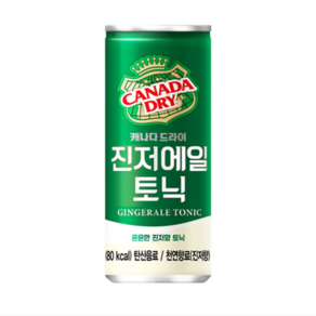 캐나다드라이 진저에일, 30개, 250ml