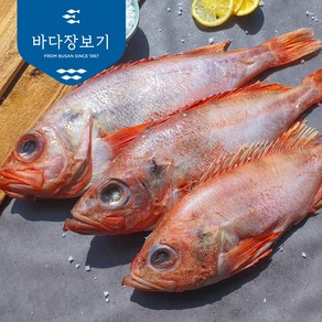 바다장보기 제수용 반건조 손질적어 빨간생선, 1개, 0.7kg내외,대(1미42cm)